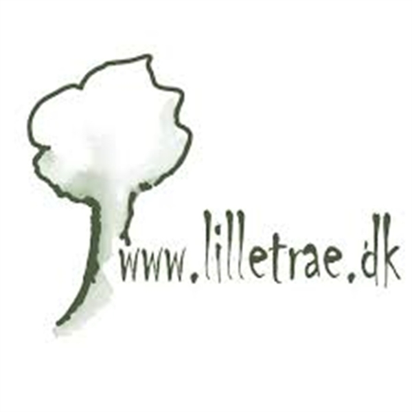 Stige med PVC trin, taifun tov - Valgt højde 90-119 cm.