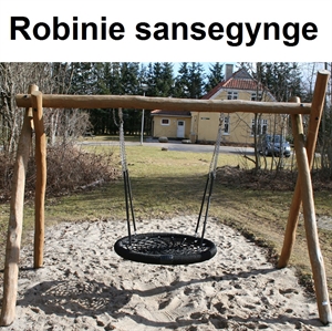 Robinie sansegynge